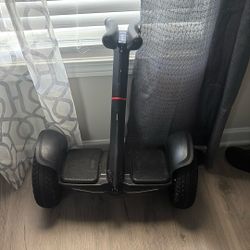 Ninebot Segway S2