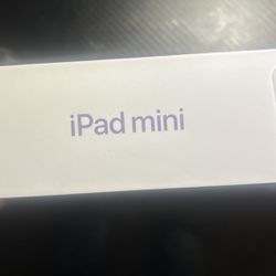iPad Mini (64 GB)