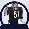 vote4pedro