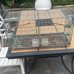 Bird Cage 