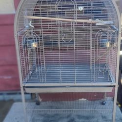Bird Cage
