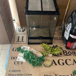 Reptile Enclosure 