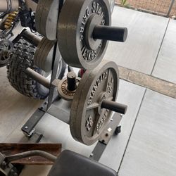 Squat Rack/bench/weights 