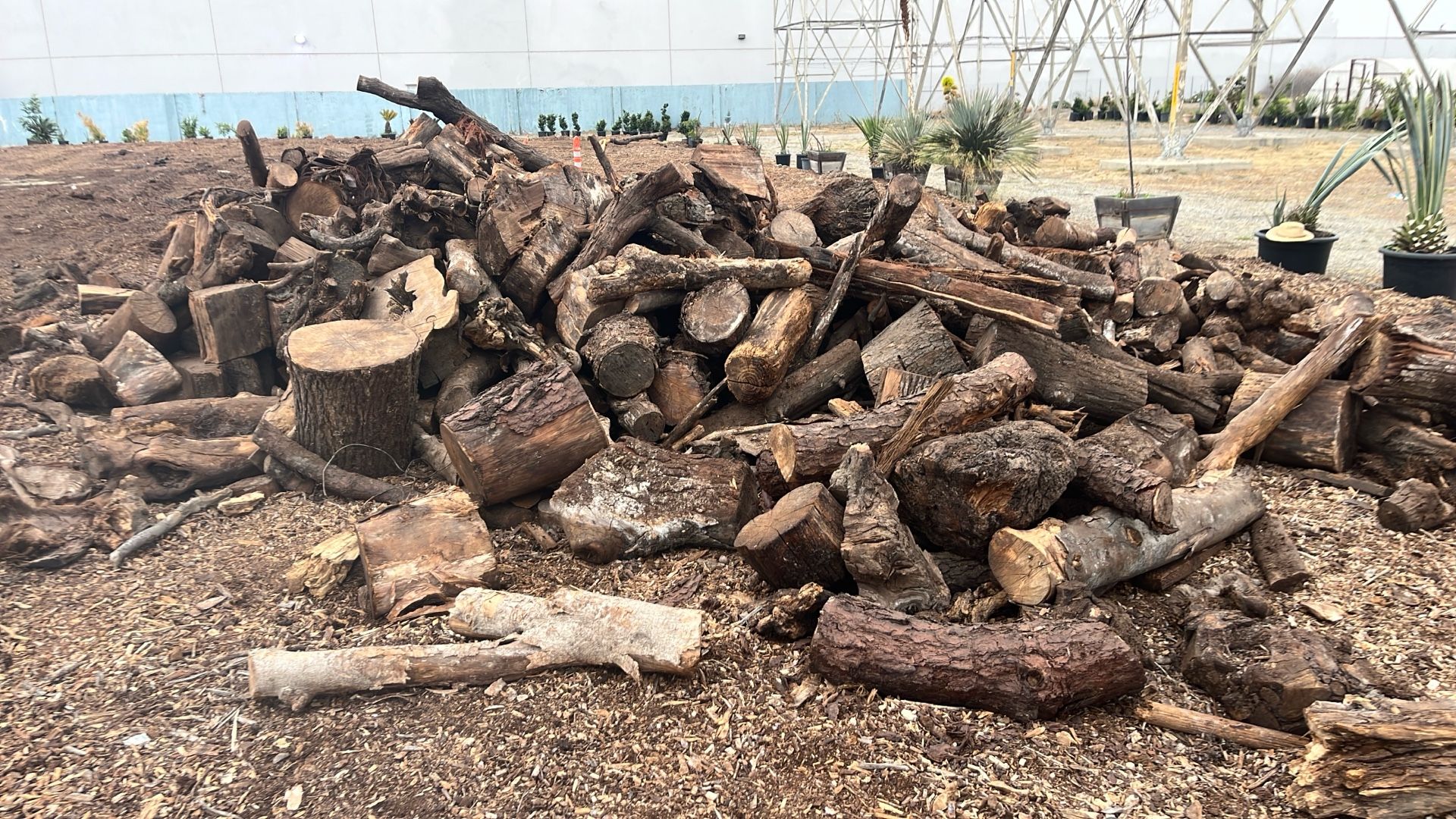 Firewood