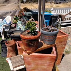 Planter W/Succulent Plants 