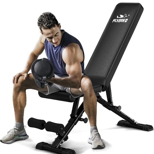 FLYBIRD Weight Bench