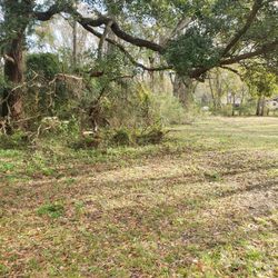 Land For Sale 307 N Tipton St Hattiesburg Ms 39401