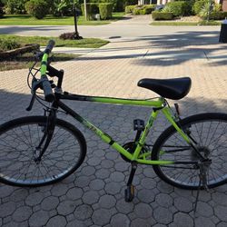 Minelli Hybrid Bike – Needs Tune-Up