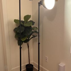 IKEA Skurup Floor Lamps (set of two)