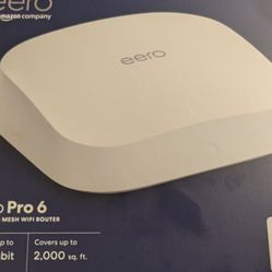 eero Pro 6 
