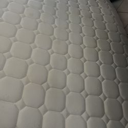 FREE Queen mattress with mattress protector