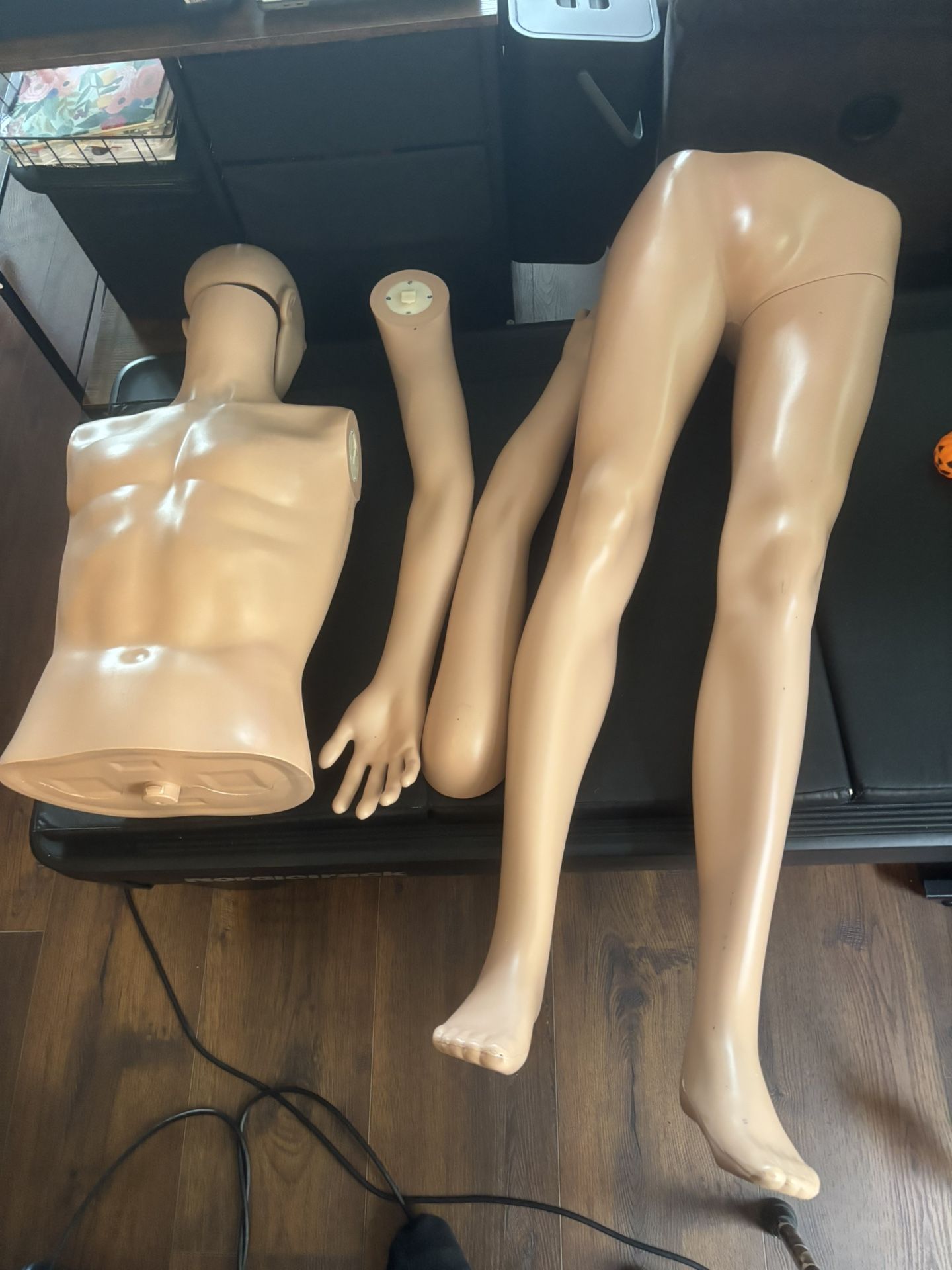 Manikin