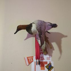 Duck Wall Decor 