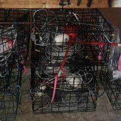 crab traps