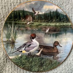āThe Pintailā Duck Plate