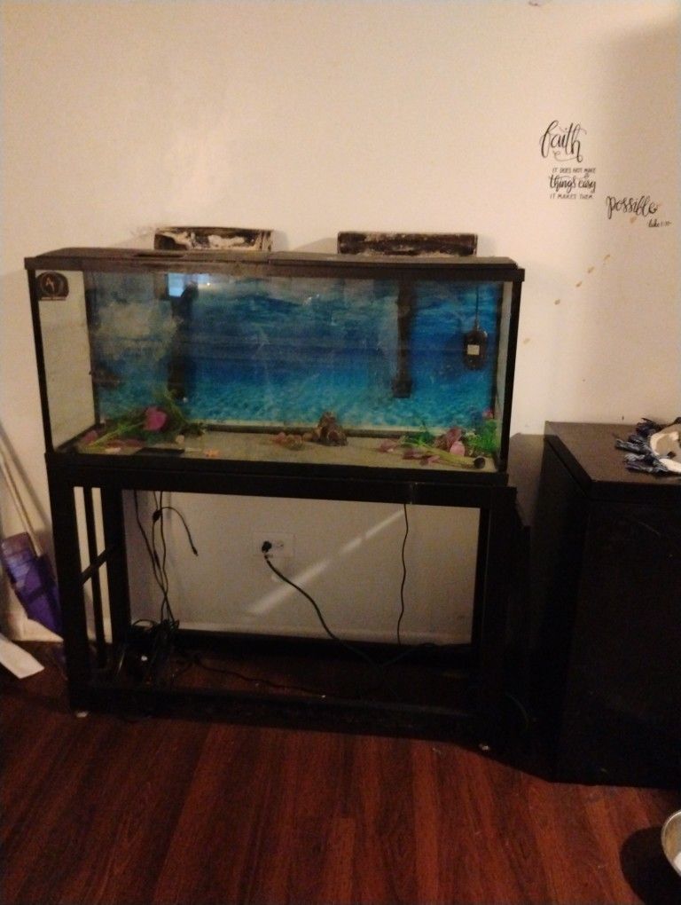 55 Gallon Aquarium With Stand