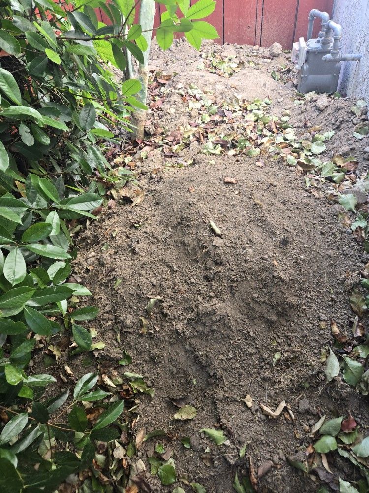Free Dirt.
