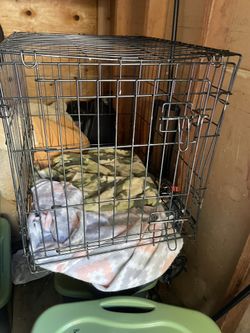 Medium Dog Crate