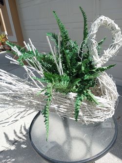 Swan Plant Holder