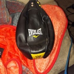 Brand-new Everlast Speed Bag