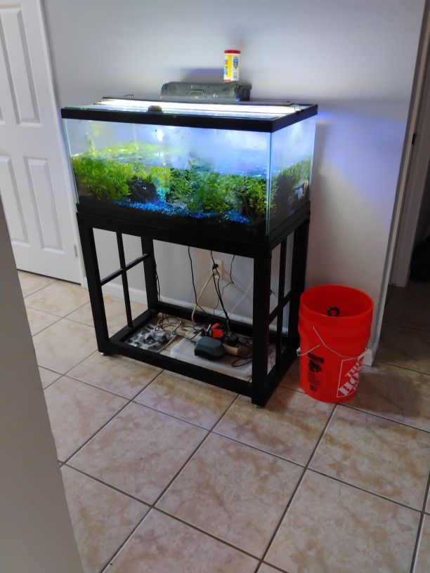 40 Gallon Fish Tank ( Fish Not Included)