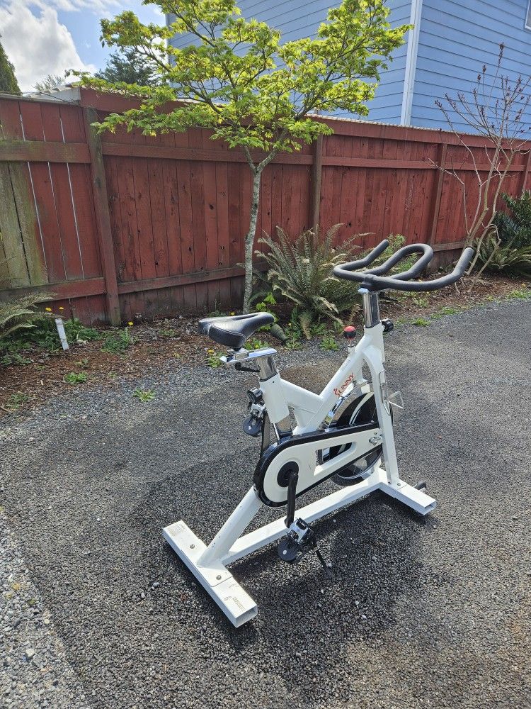 Sunny Exercise Bike