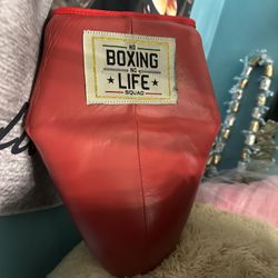 No Boxing No Life 🥊🥊🥊🥊