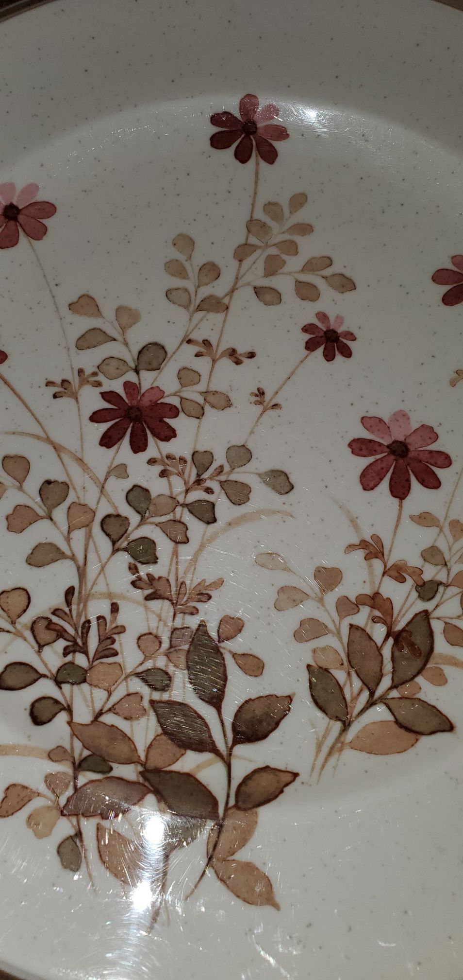 "Vintage" 1977-1983 - Pink Flowers, Brown Leaves Pattern: Outlook by Noritake (9 Plates)