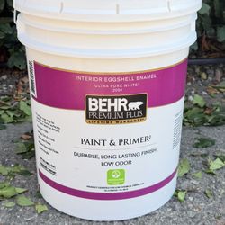 Bear Paint 