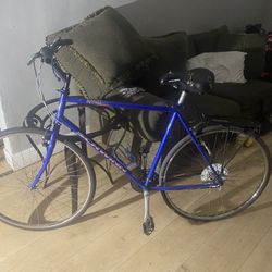 Schwinn Anniversary Edition Range Searcher With Rack 