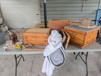 Beekeeping