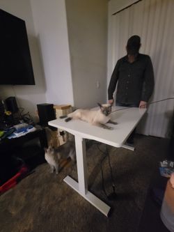 Electric stand or sit desk