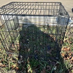 Free: Pet Crate