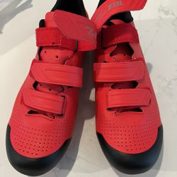 Cycling Shoes Size 42 $25