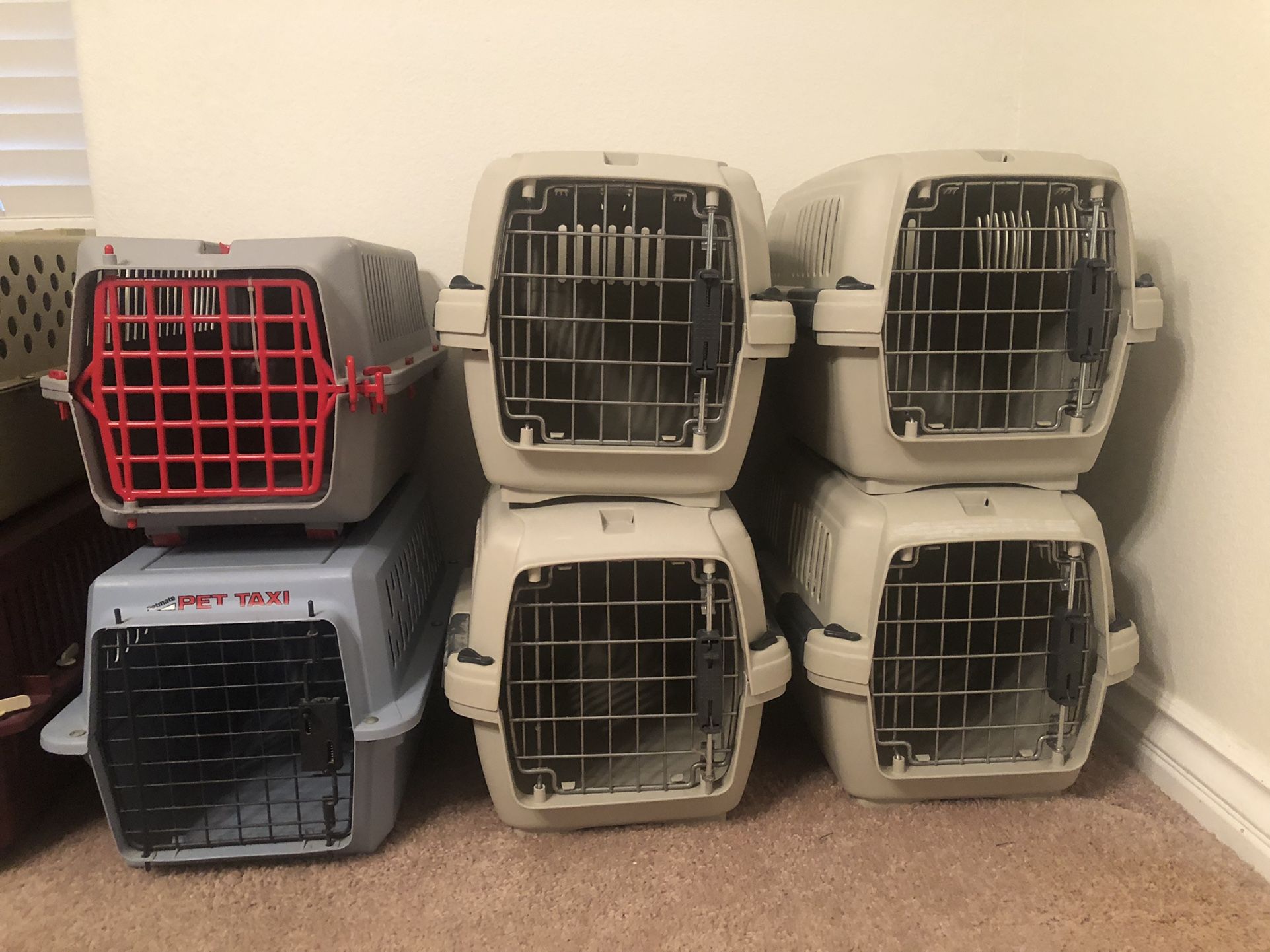 PET CARRIERS for Sale in North Las Vegas, NV OfferUp