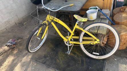 Paul Frank Beach cruiser