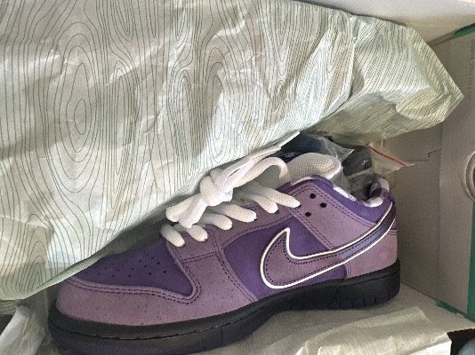 Dunks Purple Lobster 
