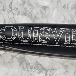 Louisville Slugger Bat