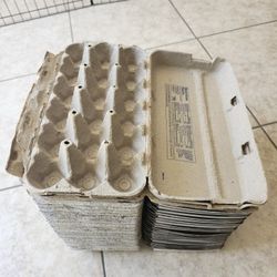 Egg Cartons For 18 Eggs or Use for Crafting