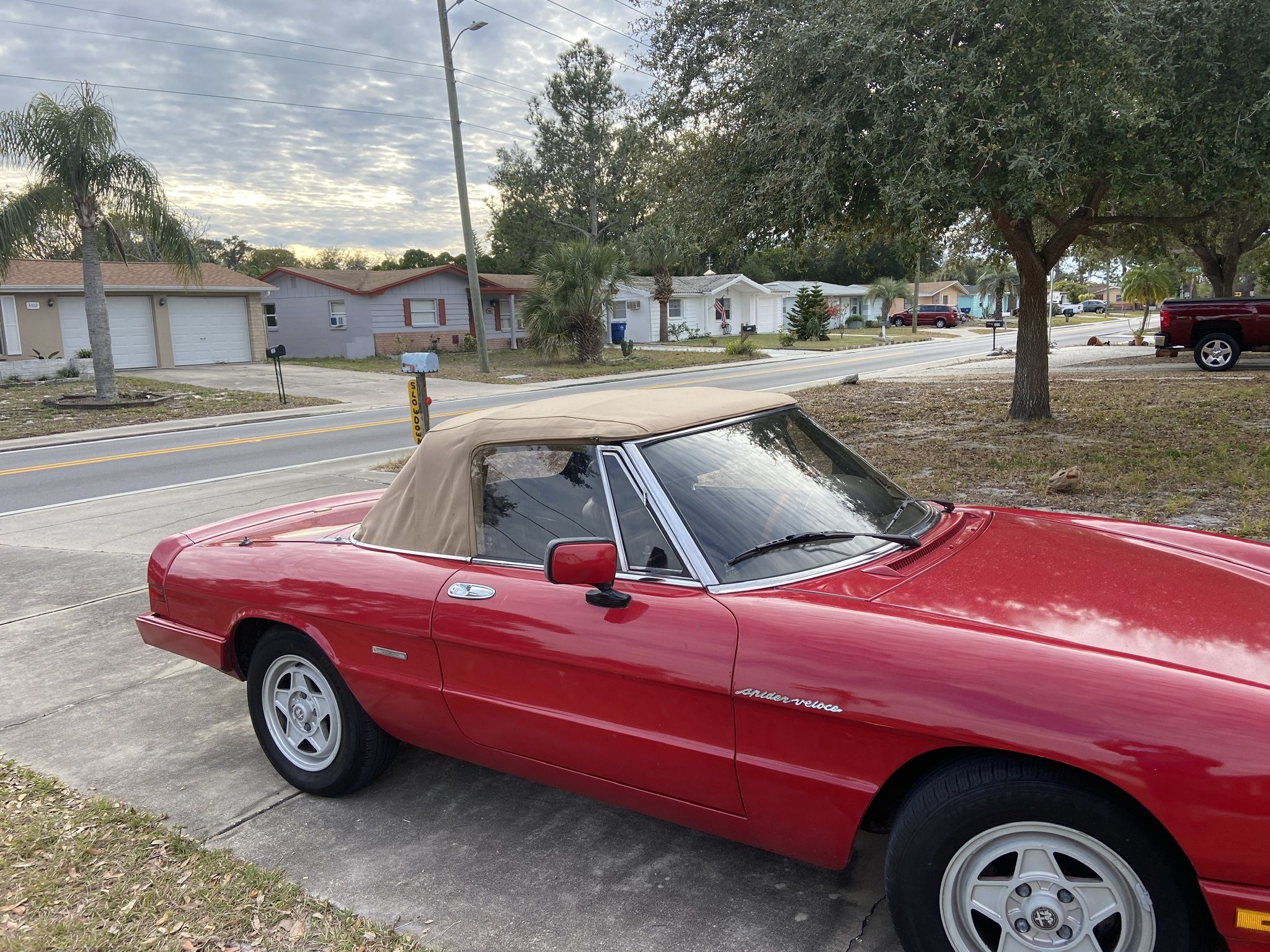 1987 Alfa Romeo Spider