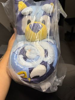 Bluey plushy and blanket
