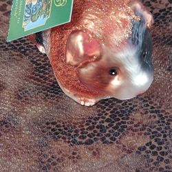 Old World Christmas Guinea Pig Ornament