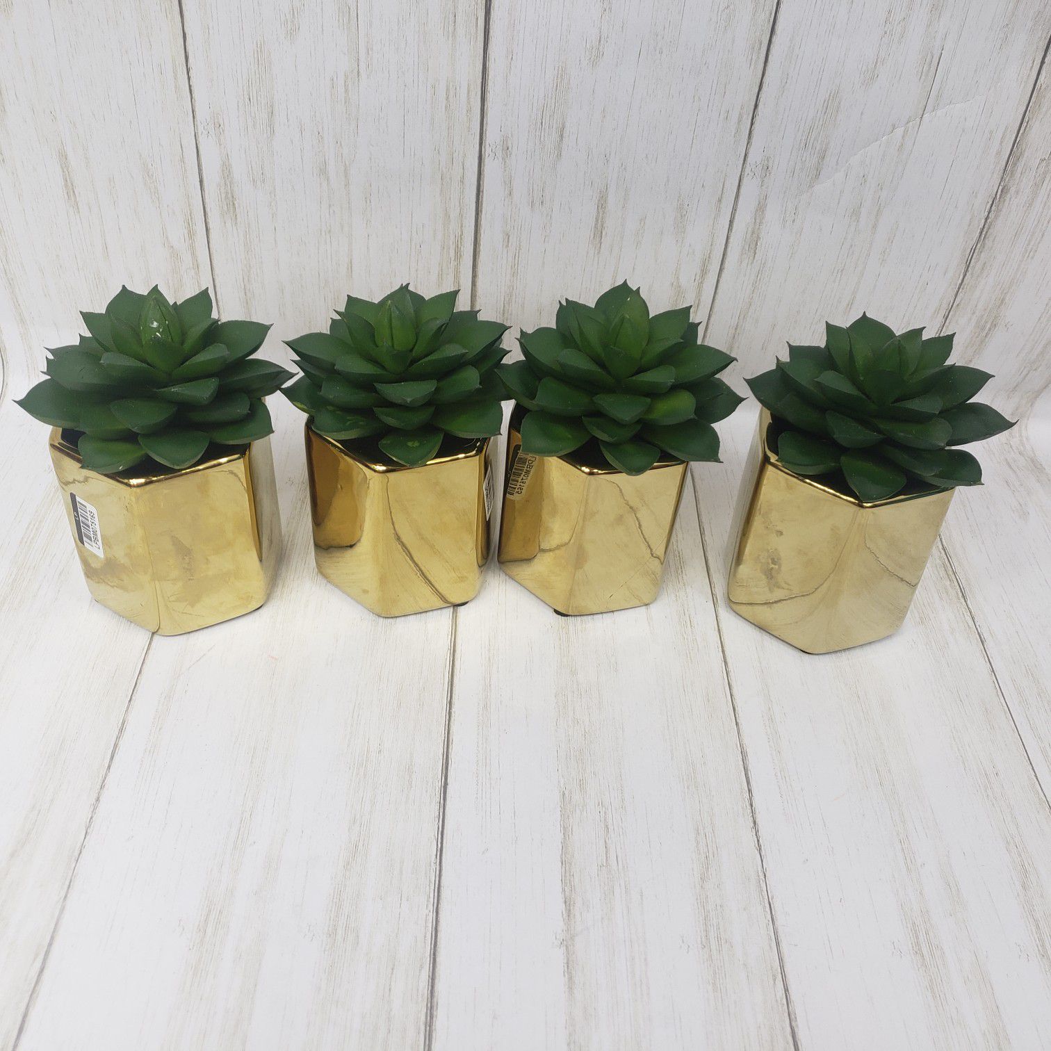 Project 62 Faux Potted Succulents Set of 4