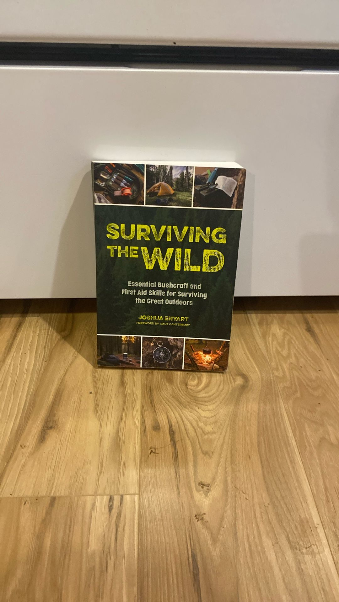 Surviving The Wild ( Essential Bushcraft and First Aid Skills For Surviving The Great Outdoors )