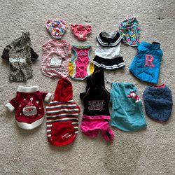 Cute Small Dog Clothes 