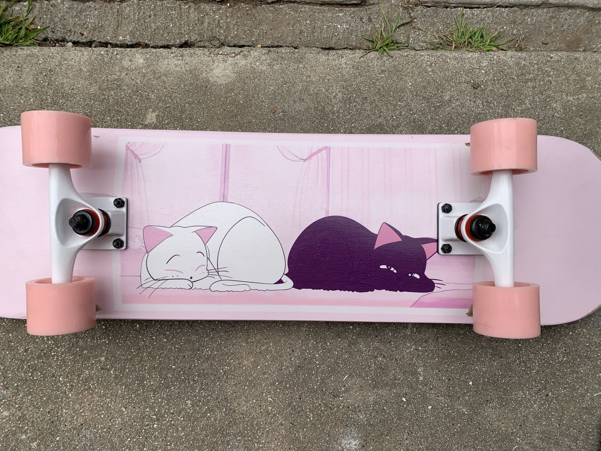 Aesthetic Skateboard🌺🌸