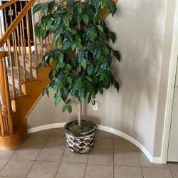 Ceramic Potted Tree