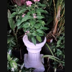 Pedestal 