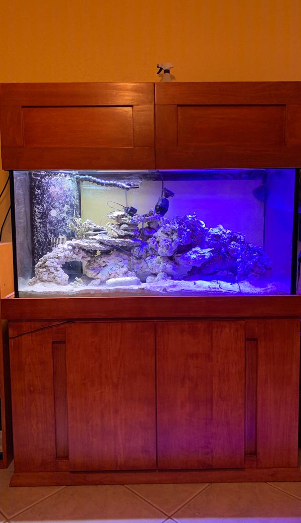 Aquarium for Sale in West Palm Beach, FL OfferUp