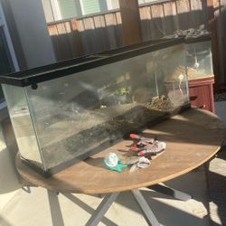 55 gallon aquarium 30 fish tank 